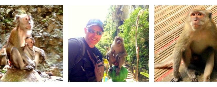 monkeys at batu caves kuala lumpur malaysia