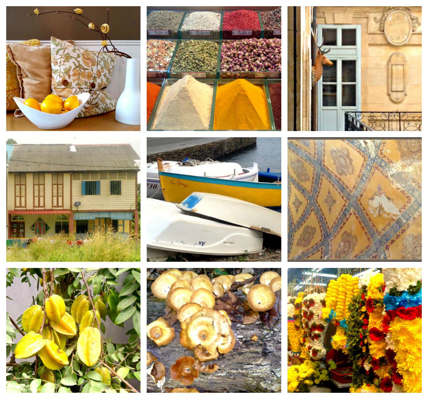 Yellow Collage